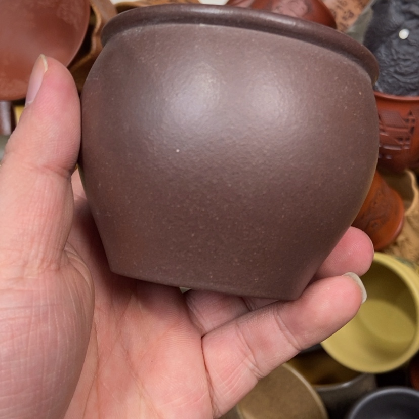 【闪购商品】紫砂茶杯