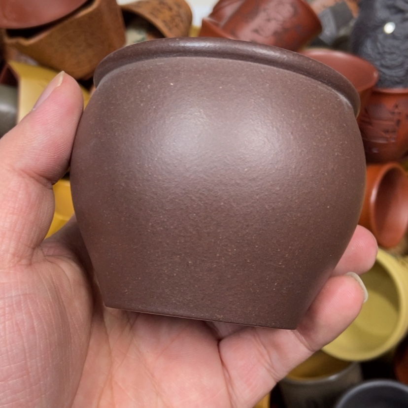 【闪购商品】紫砂茶杯