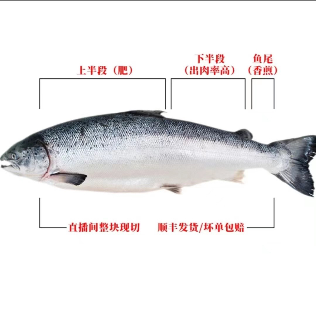 挪威三文鱼新鲜刺身 直播间定制