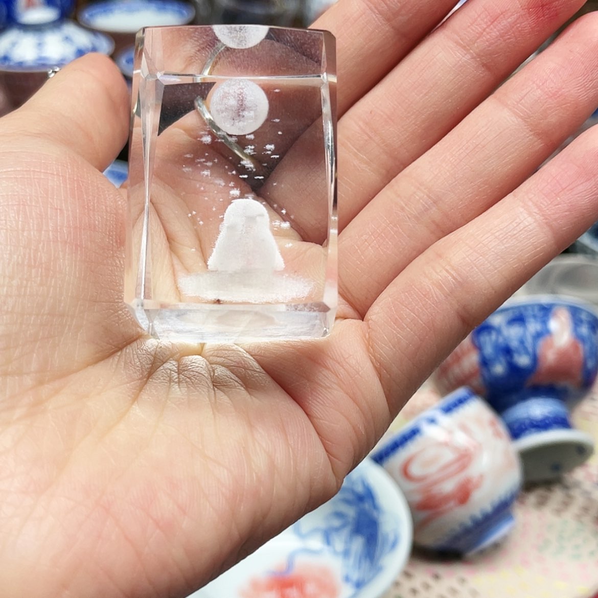【闪购商品】陶陶三**物