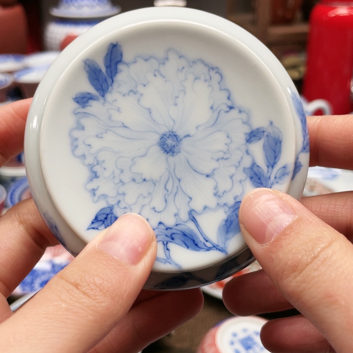 【闪购商品】陶陶默*