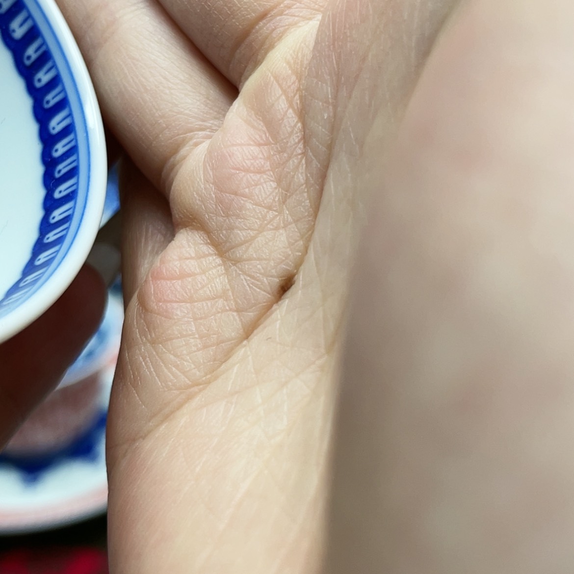 【闪购商品】陶陶S****z