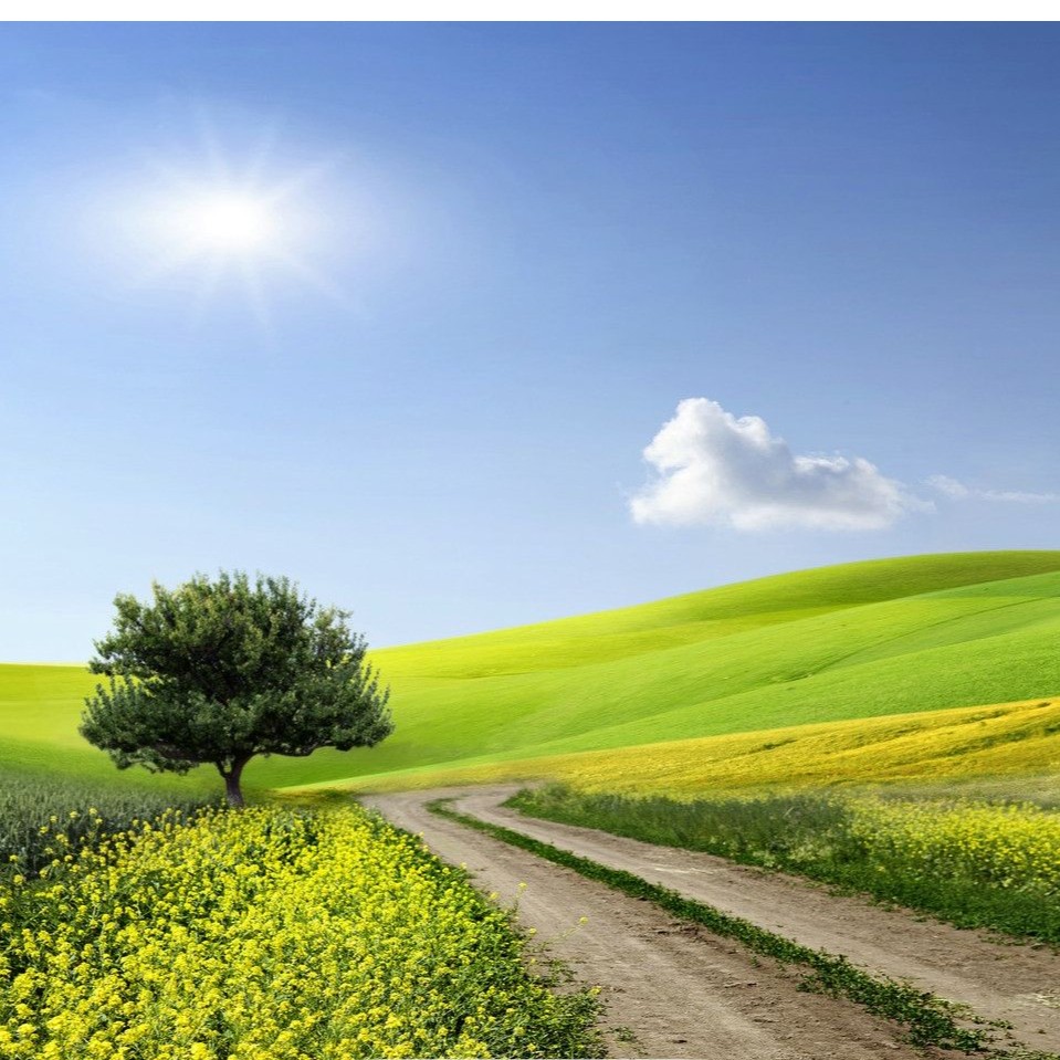 洋   新中式风 桑蚕丝 鎏金香云纱黄色外套 43245  L