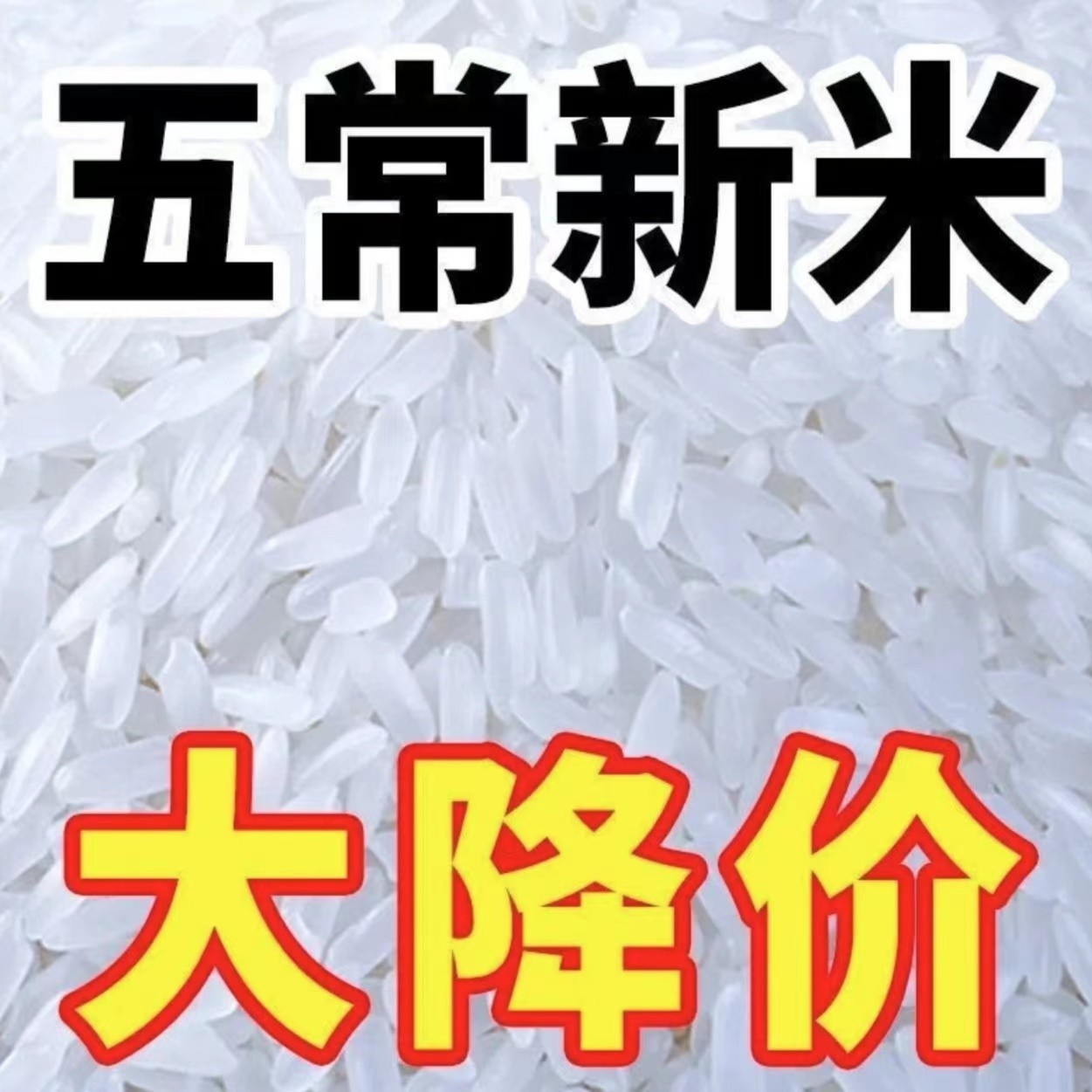 【新米】五常稻花香米长粒香米便宜黑龙江省厂家直销东北大米5斤