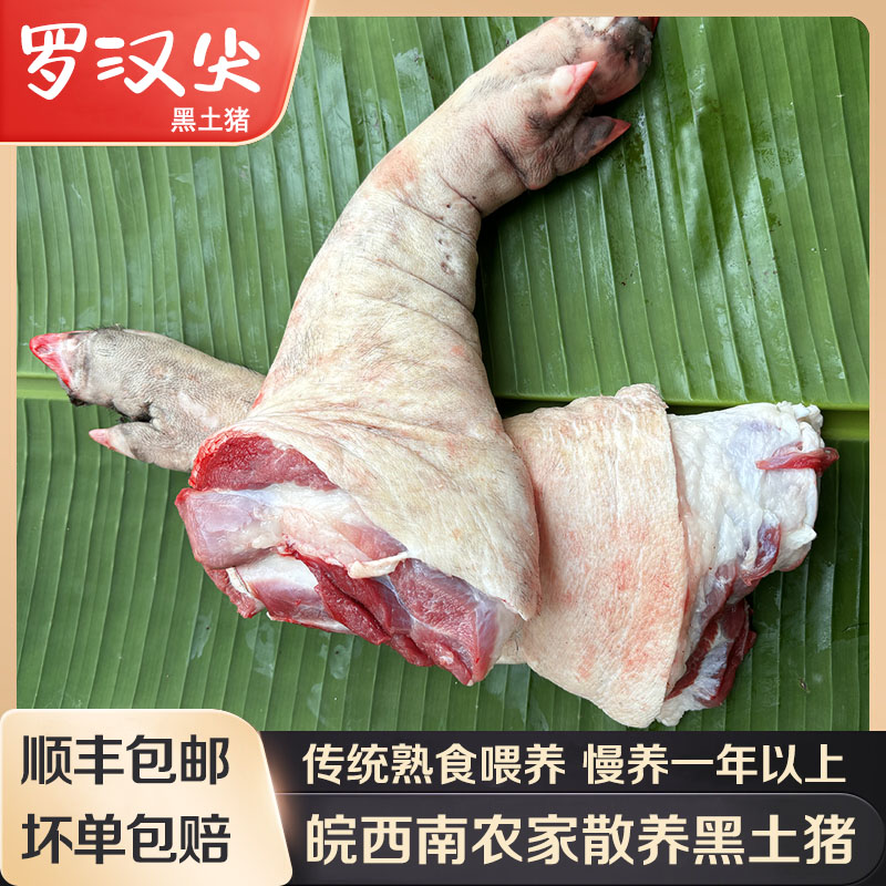 大别山皖南散养黑土猪猪蹄安徽皖南农家跑山猪猪蹄猪肘子前后脚