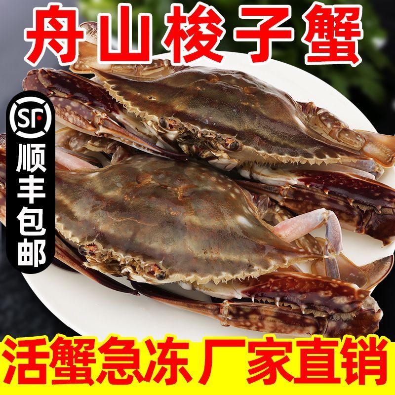 3-4两/只舟山特级活冻梭子蟹氮冻蟹包鲜包肥野生梭子蟹飞蟹