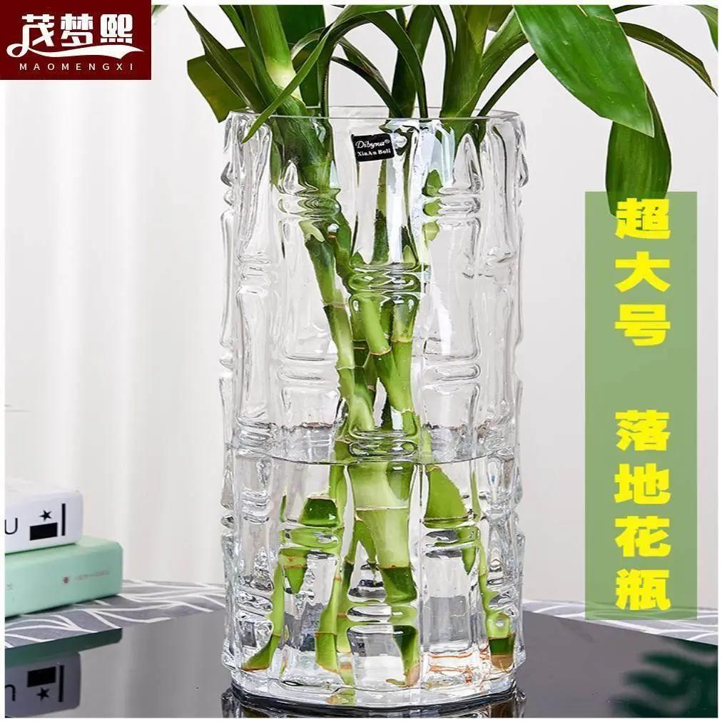 花瓶富贵竹专用水培大口径大号玻璃高款透明插花水养特大摆件客厅