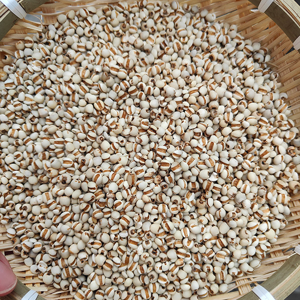 农家意米煲汤干货【可配枸杞】