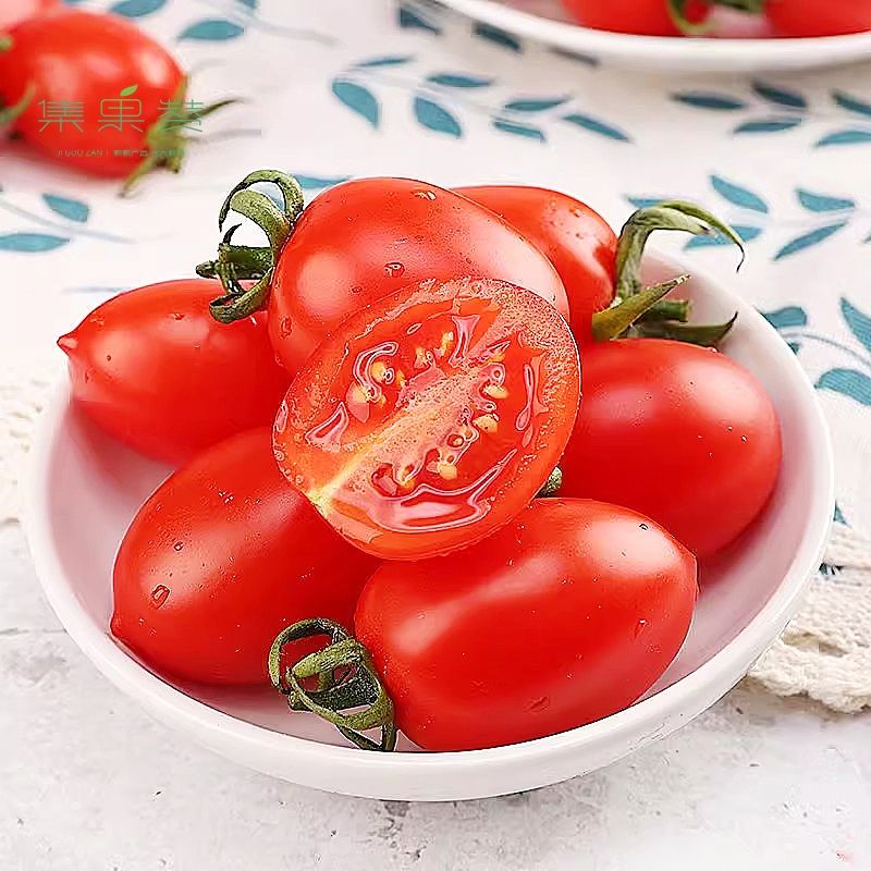 【今日严选】千禧圣女果小番茄 约500g 新鲜产品 当日手选