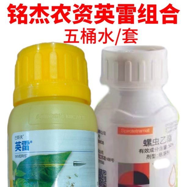 铭杰农资英雷组合