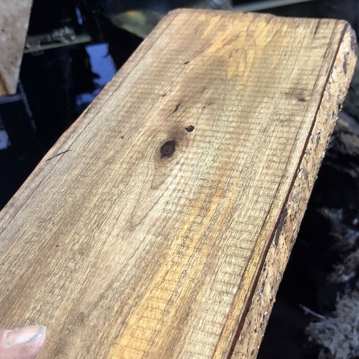 【闪购商品】骨瓷摆件哈***好