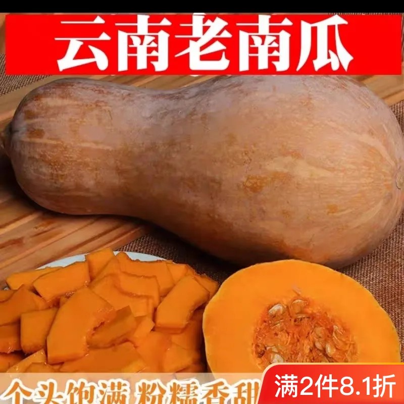 云南高原新鲜蜜本老南瓜甜糯可口适合孕妇宝宝辅食