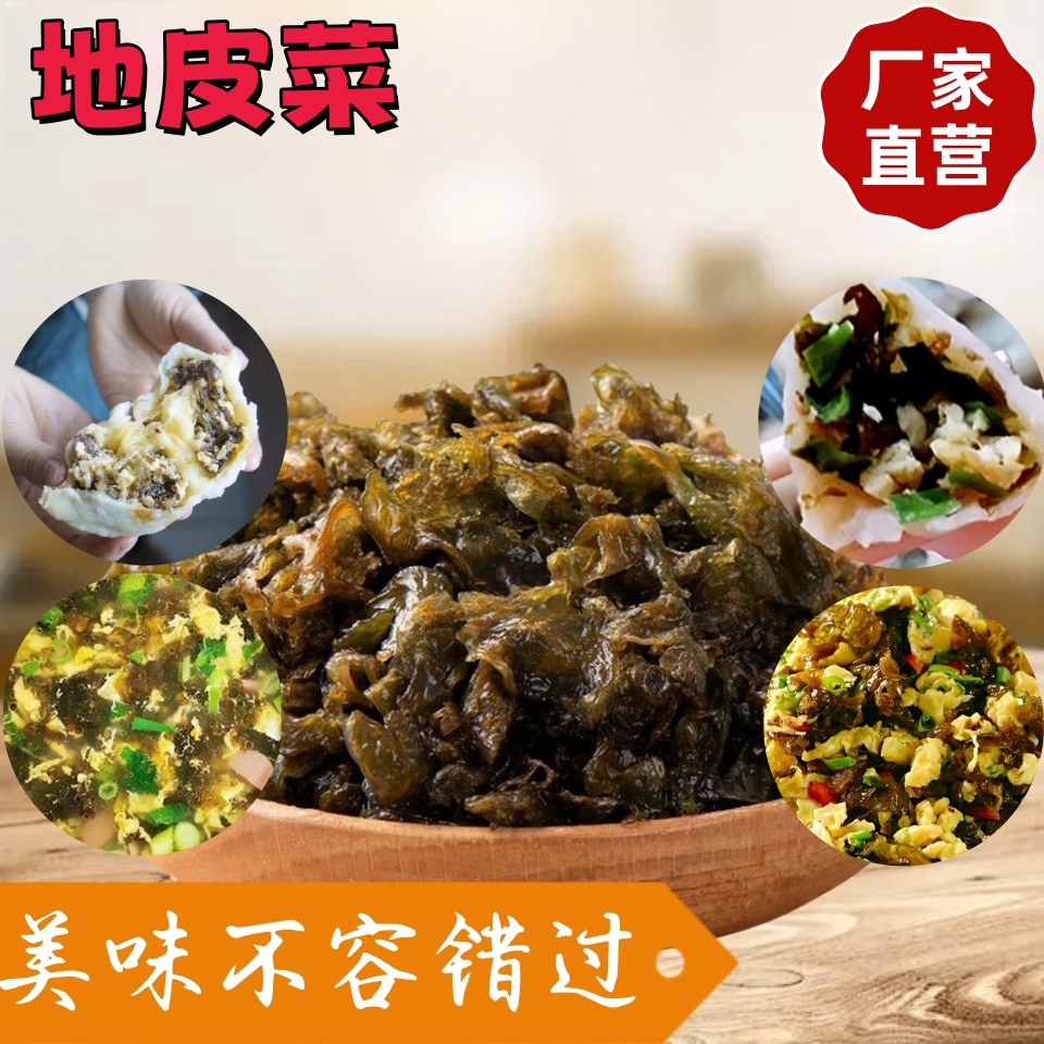 【品质好货】陕西特产地皮菜免洗干地皮菜地衣特产干货地软新鲜采摘