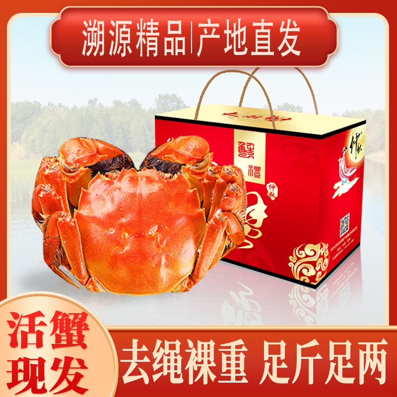 【活蟹】公蟹3.5两母蟹2.5两大闸蟹鲜活螃蟹溱湖簖蟹8送2到手10只