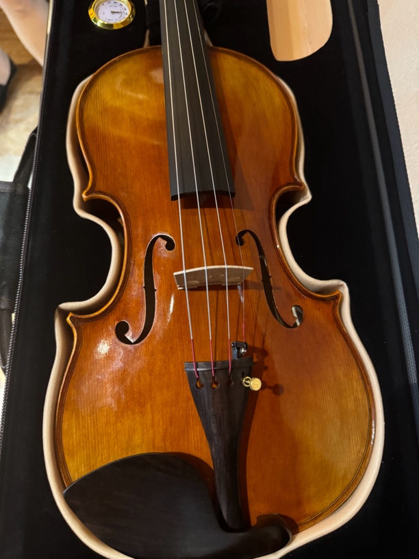 四分之四欧料小提琴乐器小提琴