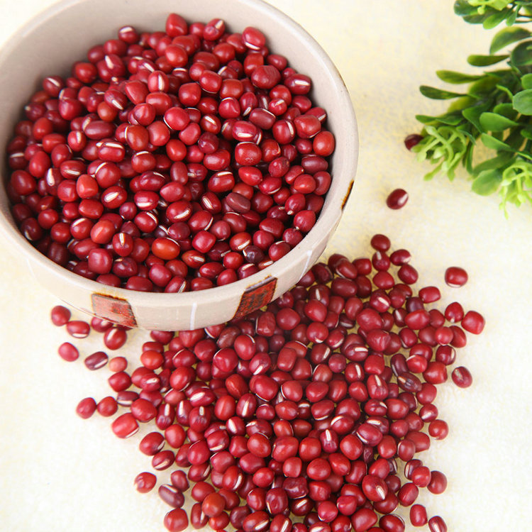 山亭王峪村新产红豆三斤装 袋装