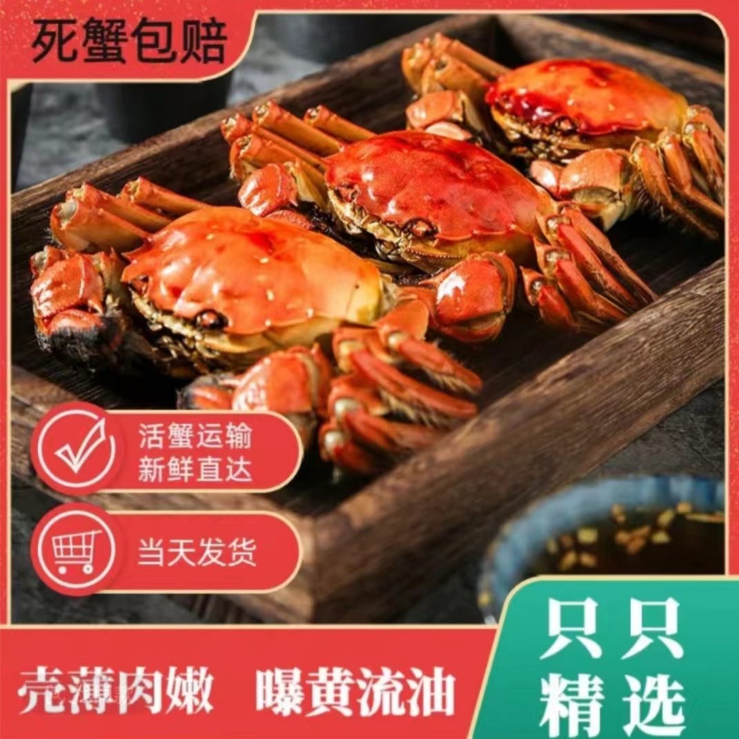 【苏州大闸蟹】新发地活蟹现发闪送到家【2-2.4两/只】