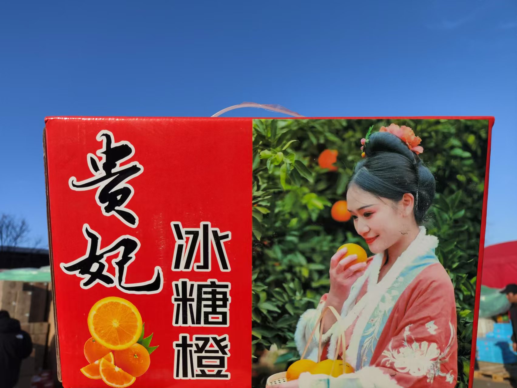 【薯乐园】贵妃冰糖橙/毛重5斤装
