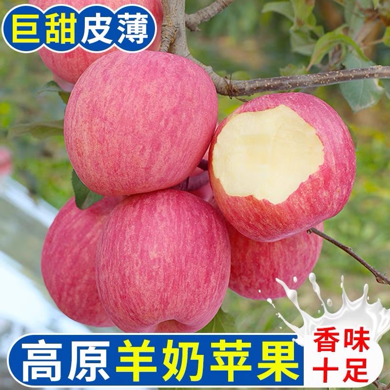 【薯乐园】当季水果羊奶苹果  