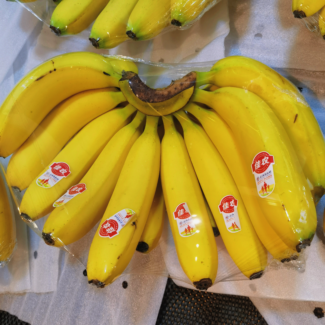 佳农香蕉一小把6根
