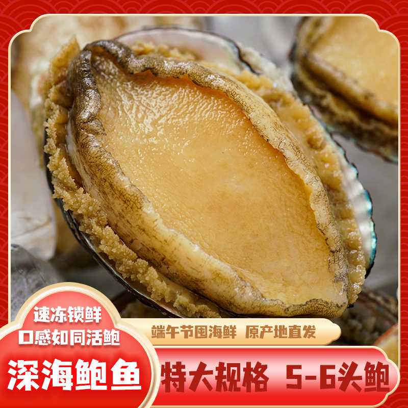 【特大规格 】5-6头鲍东山岛直发深海鲍鱼海鲜大个肉厚急冻锁鲜850g