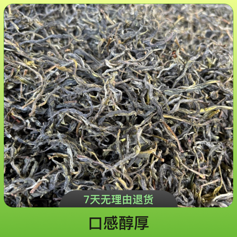 2025高寨山大树绿茶(滇绿）福利款