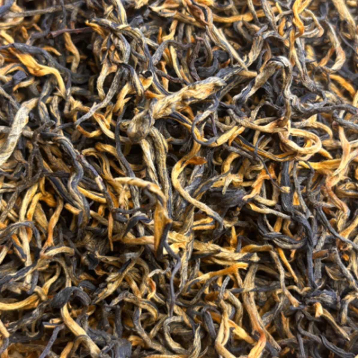 2025头春一叶金毫红茶（烤红）