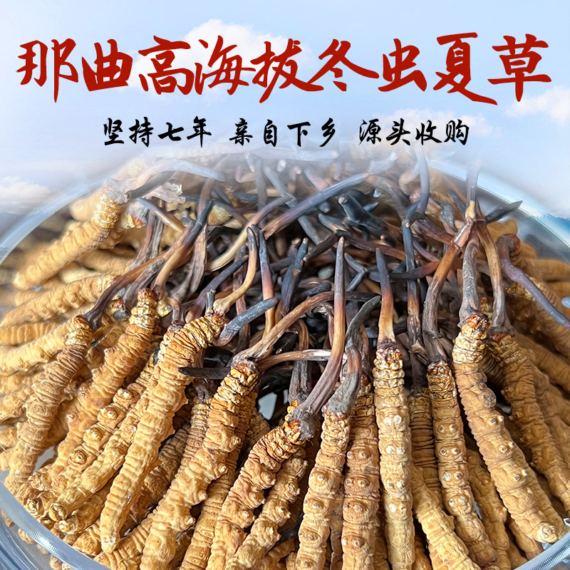 藏遇西藏那曲冬虫夏草海拔4700米以上中等尾巴干草断草10克包邮
