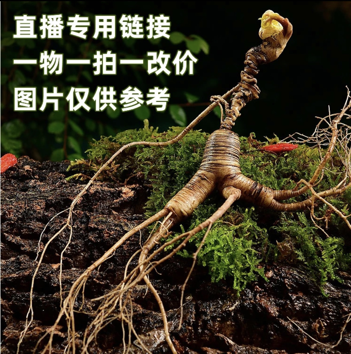 新鲜林下参（直播改价链接）。