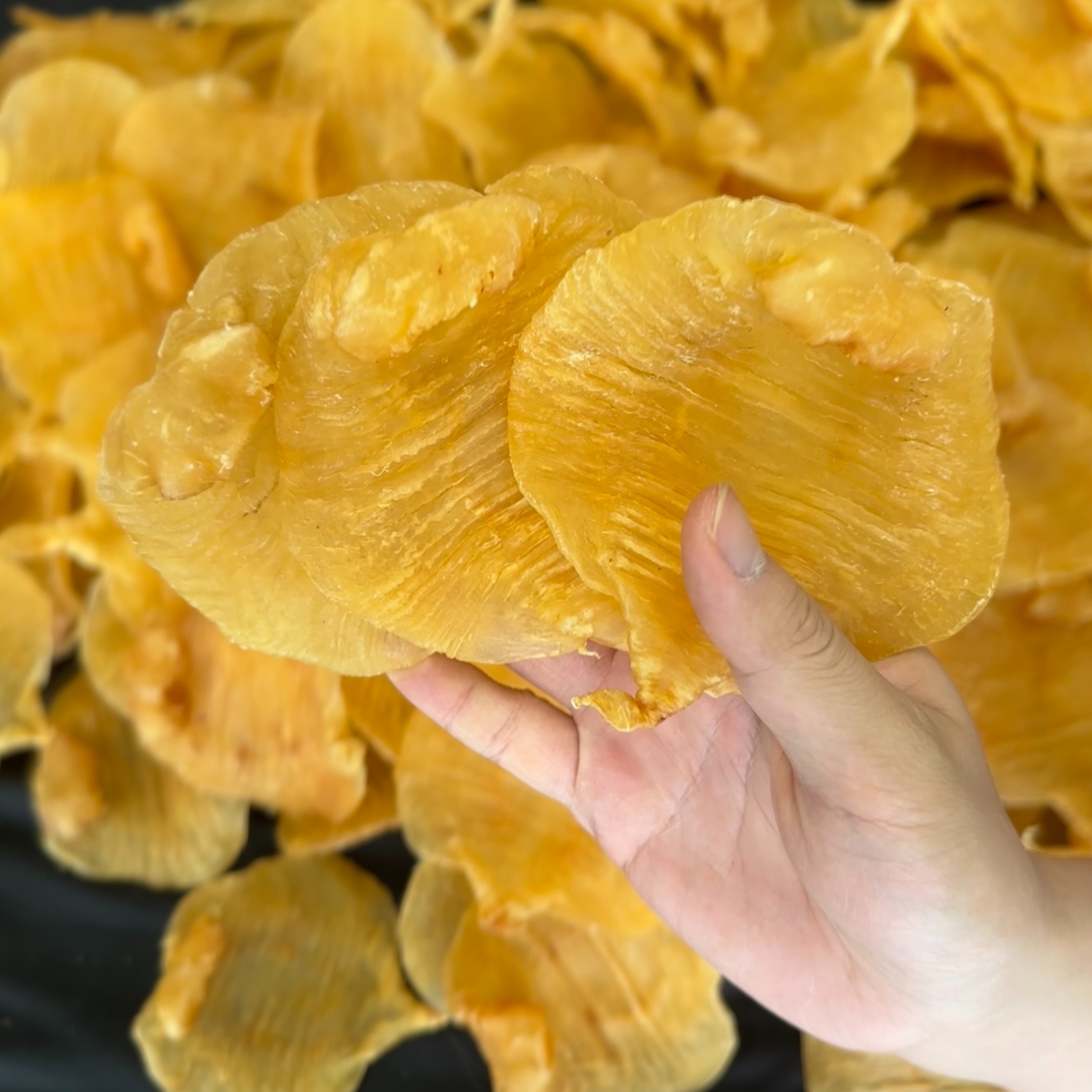 简一滋补 广东本港赤嘴胶