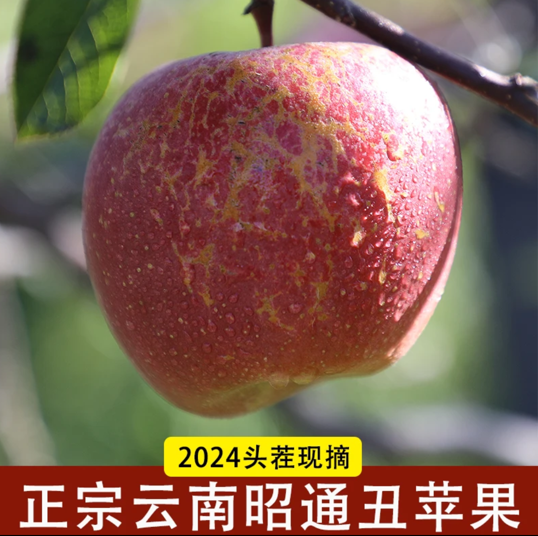 金元帅苹果5斤当季水果新鲜水果