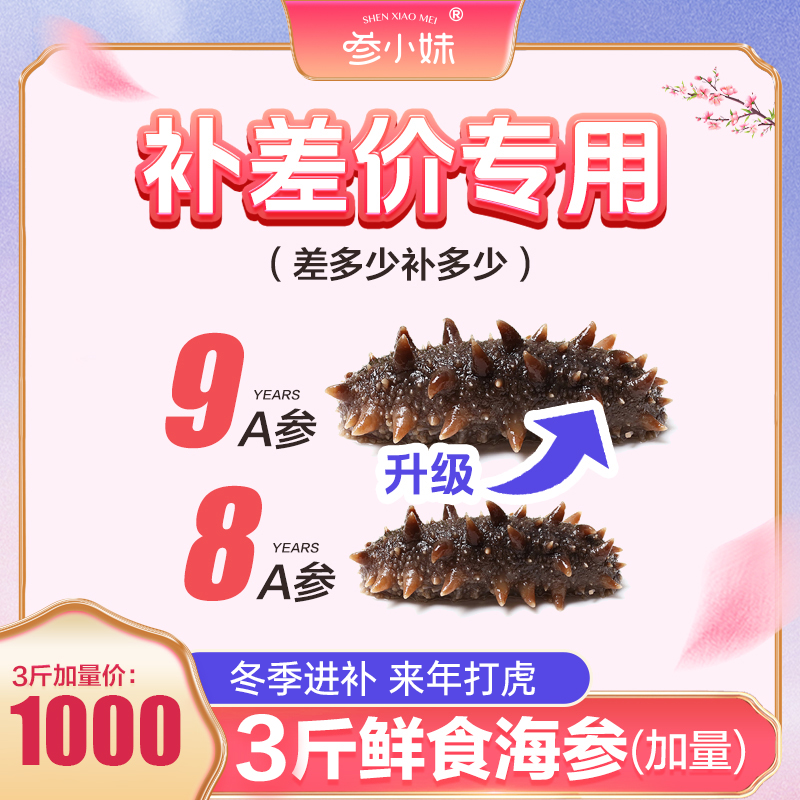 【请勿单拍升级专用】1000升单9A大连辽刺参新鲜营养直播间专用