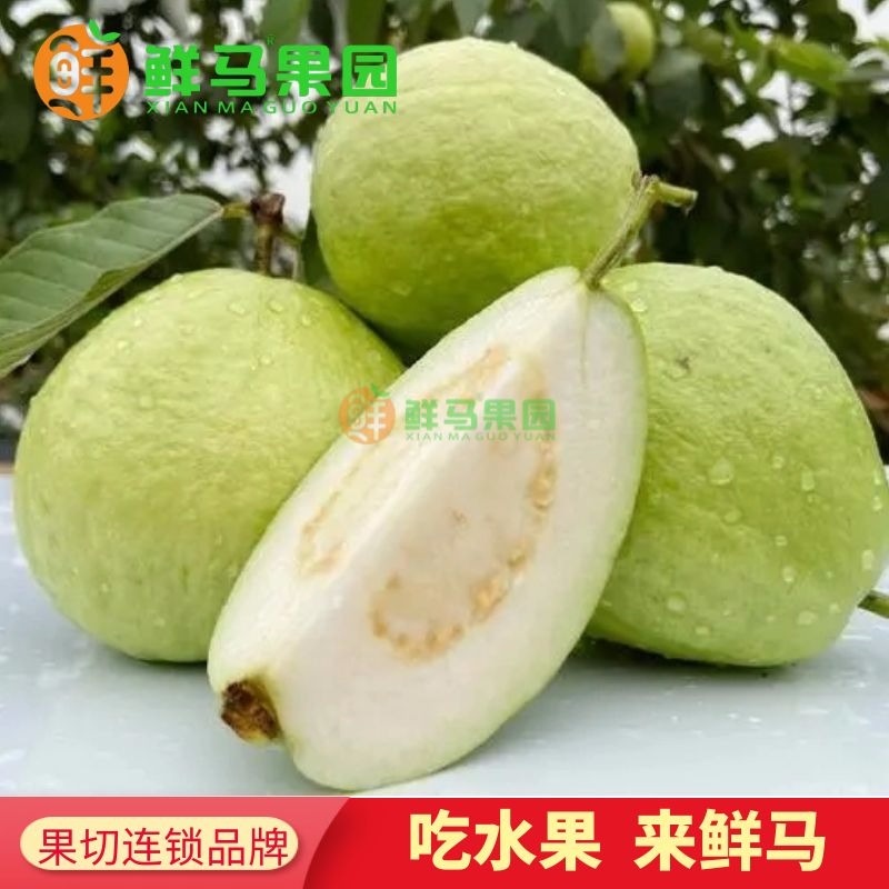 【整果】本地长泰白心芭乐/4个装/约2斤/送酸梅粉（漳州人最爱）
