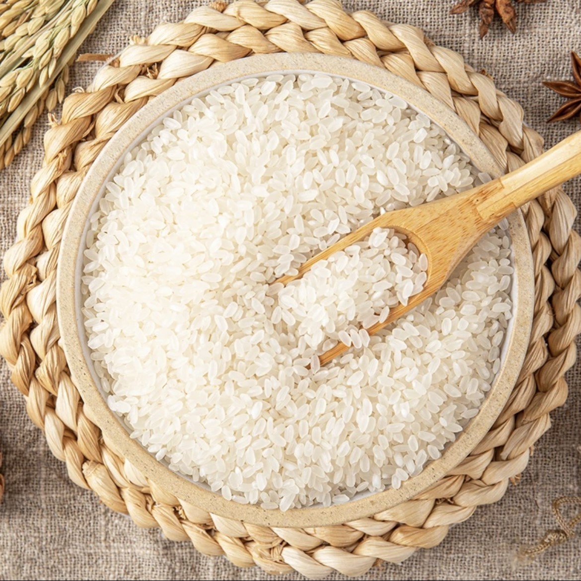 【到手一袋】有问题联系客服  休闲百搭帆布鞋