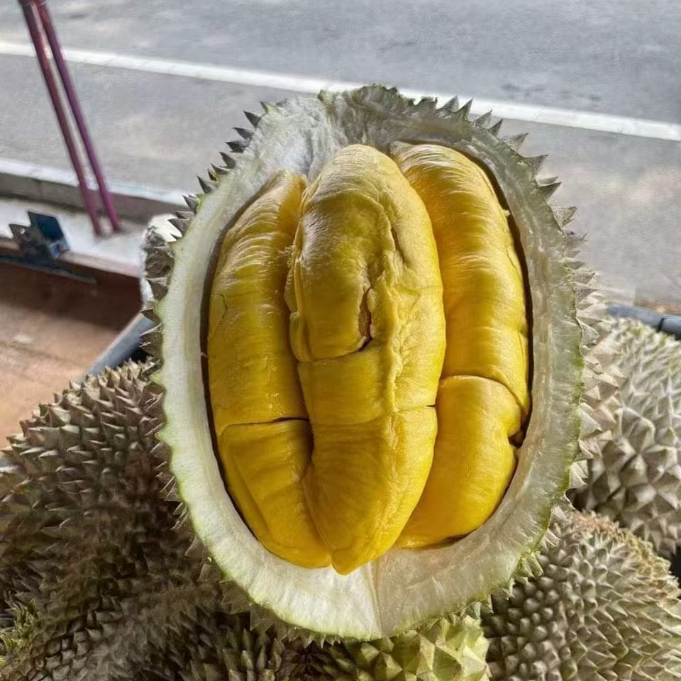 【顺丰 冷冻保存】马来西亚 冷冻猫山王榴莲整个 3.5斤起