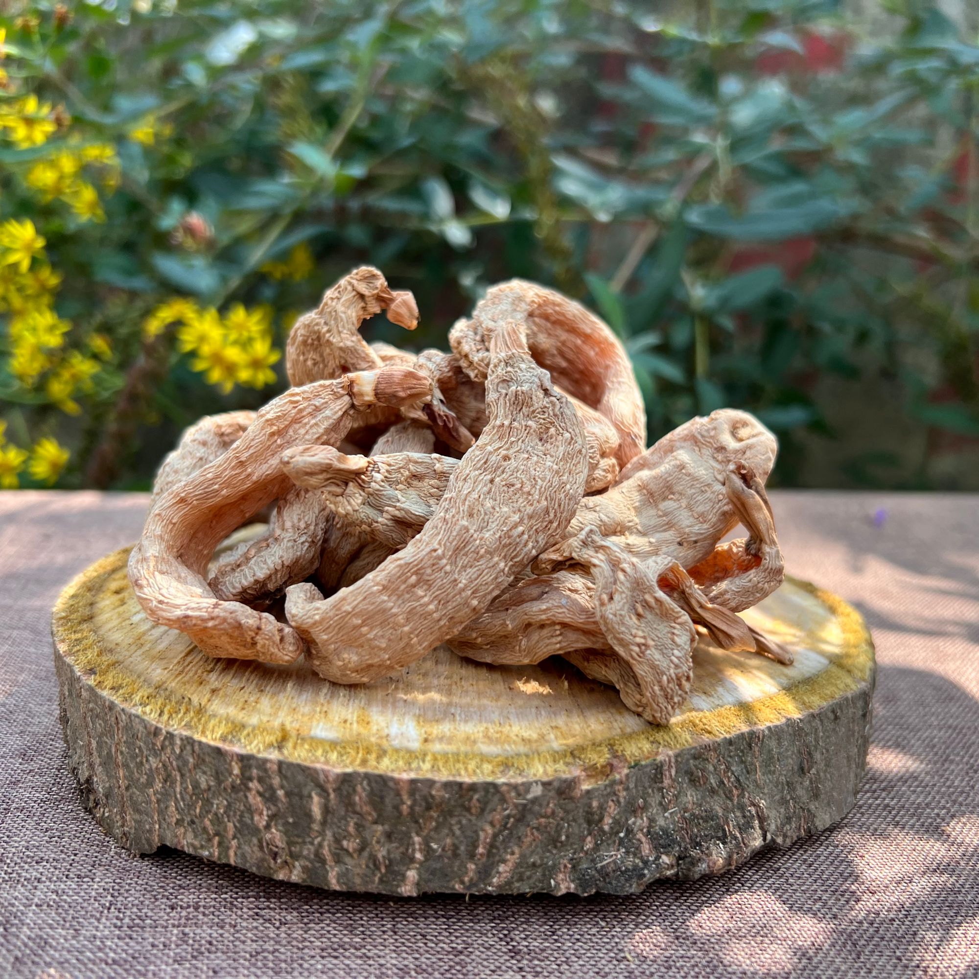 天麻原产地干货直供宁陕大产地大天麻新货晒干无硫熏色煲汤营养