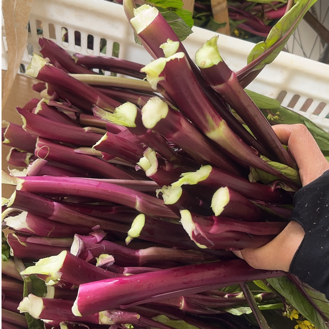 洪湖米之团    精选本地红菜苔 3斤/5斤  新鲜现摘 顺丰包邮