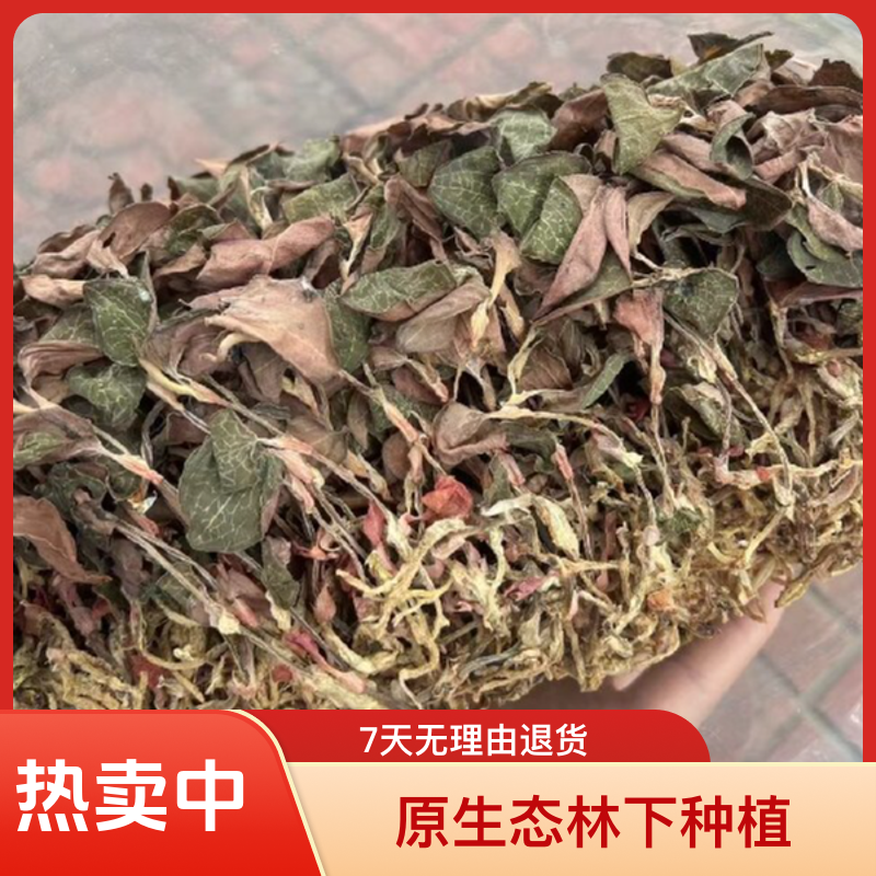 正宗【金线莲】整株干品，原生态林下种植新鲜烘干