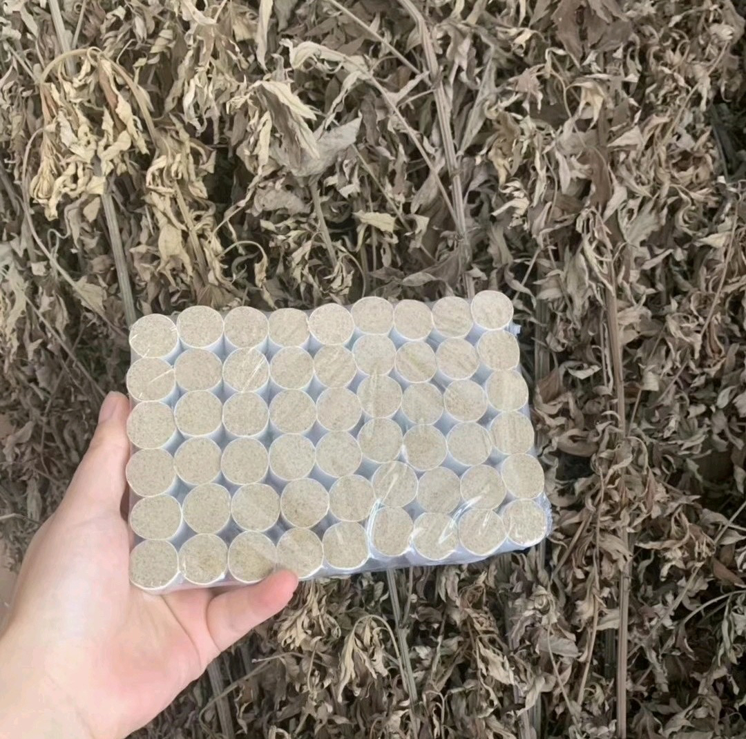 陈三年陈艾柱柱端午采摘