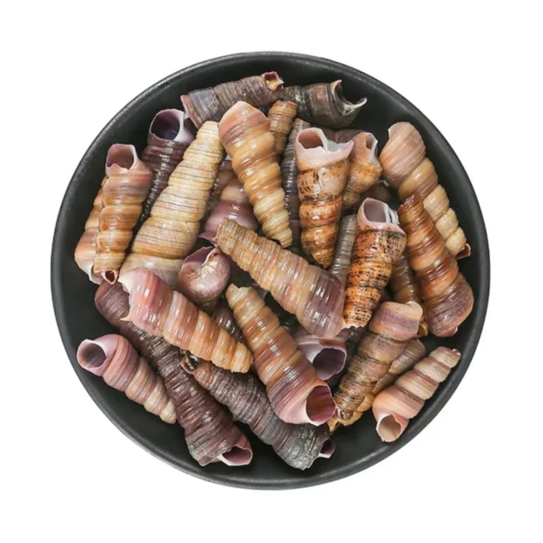 鲜活钉螺（500g）