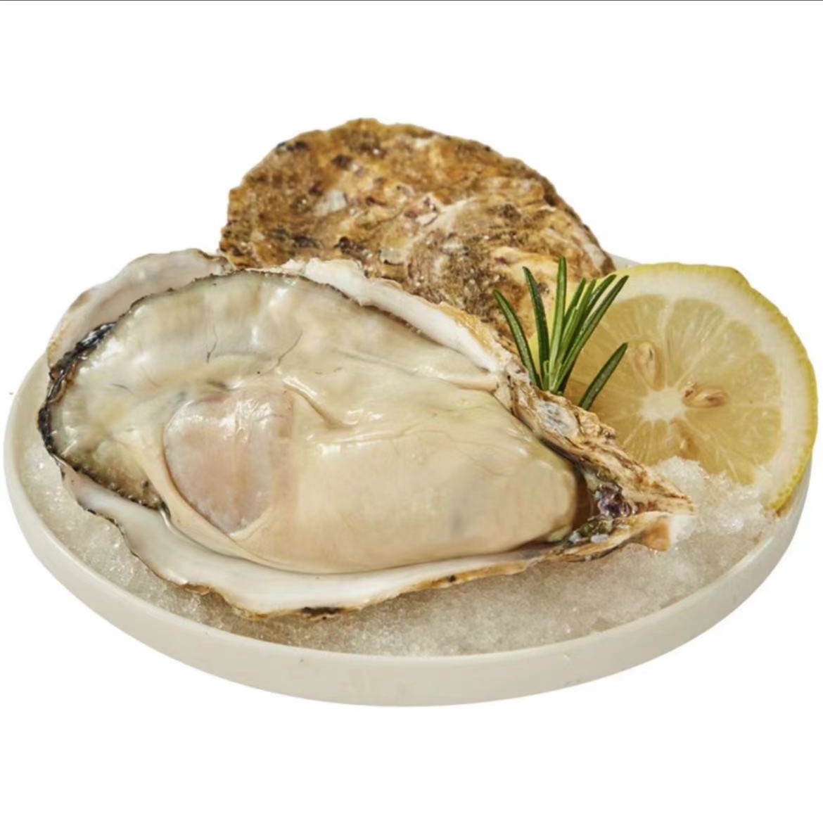 【粉丝福利】鲜活2+乳山生蚝（10个装）