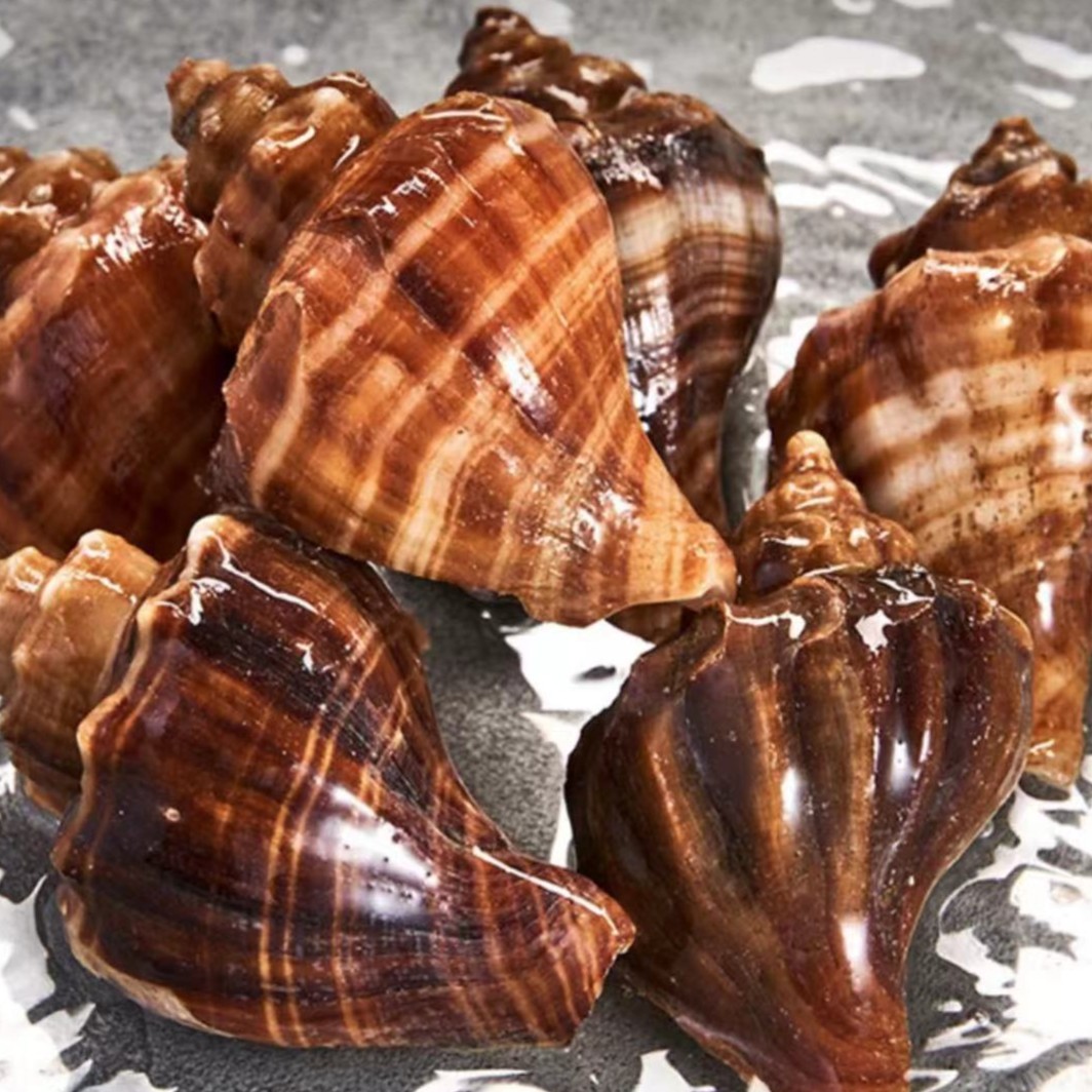 鲜活红螺（250-500g）