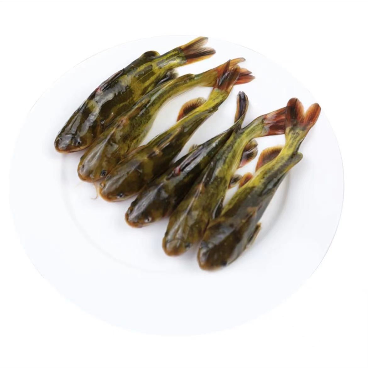 黄辣丁（500g）