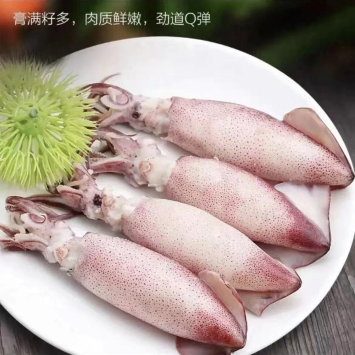 【冻品】海籽兔（10只/包）