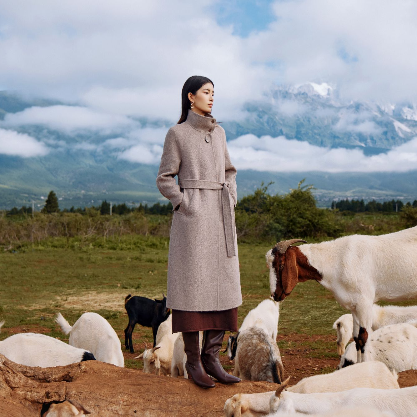 24冬季外套 棉服  双面呢  高品质女装