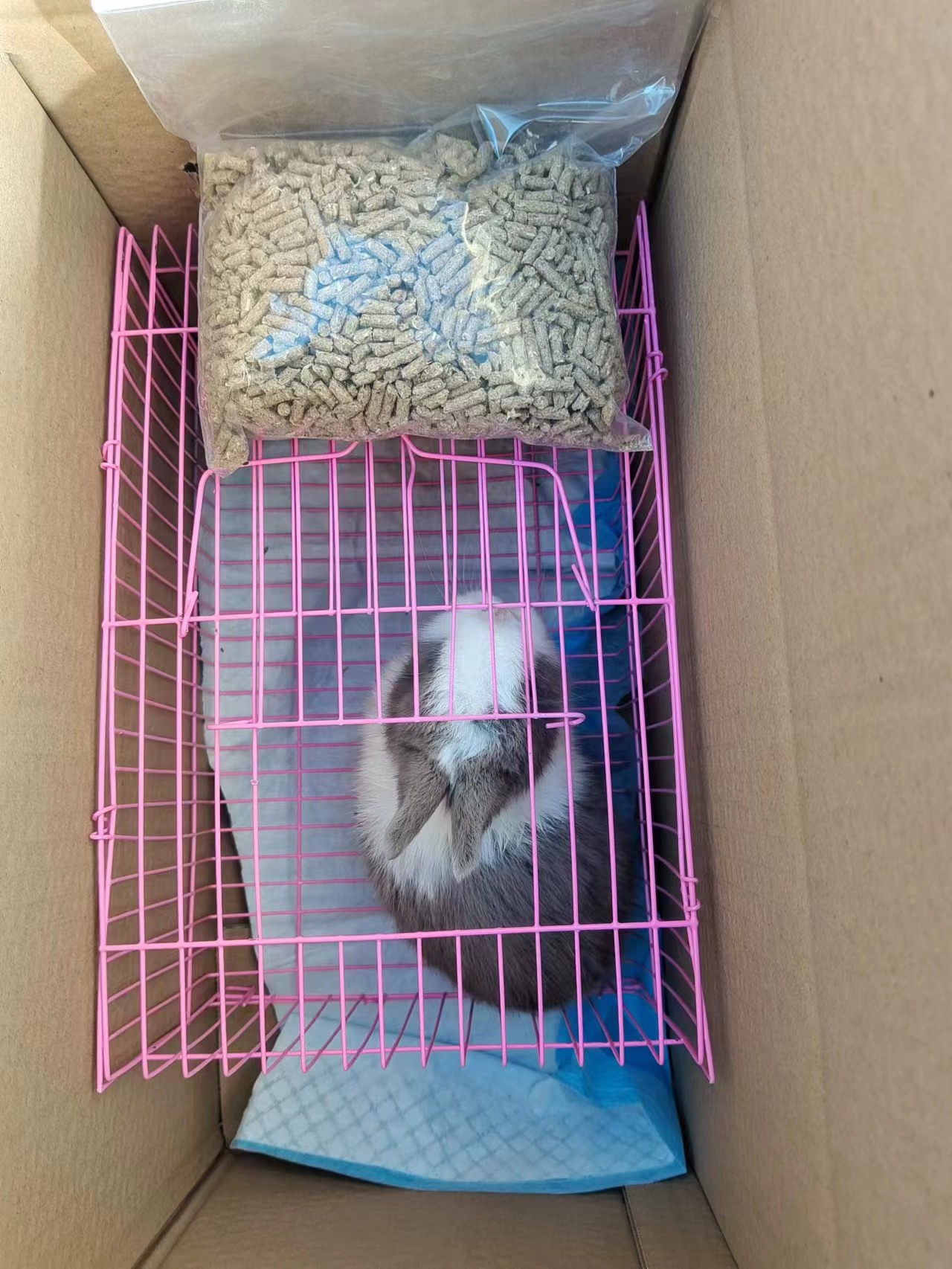 萌兔乐园兔兔专用高级运输笼子404