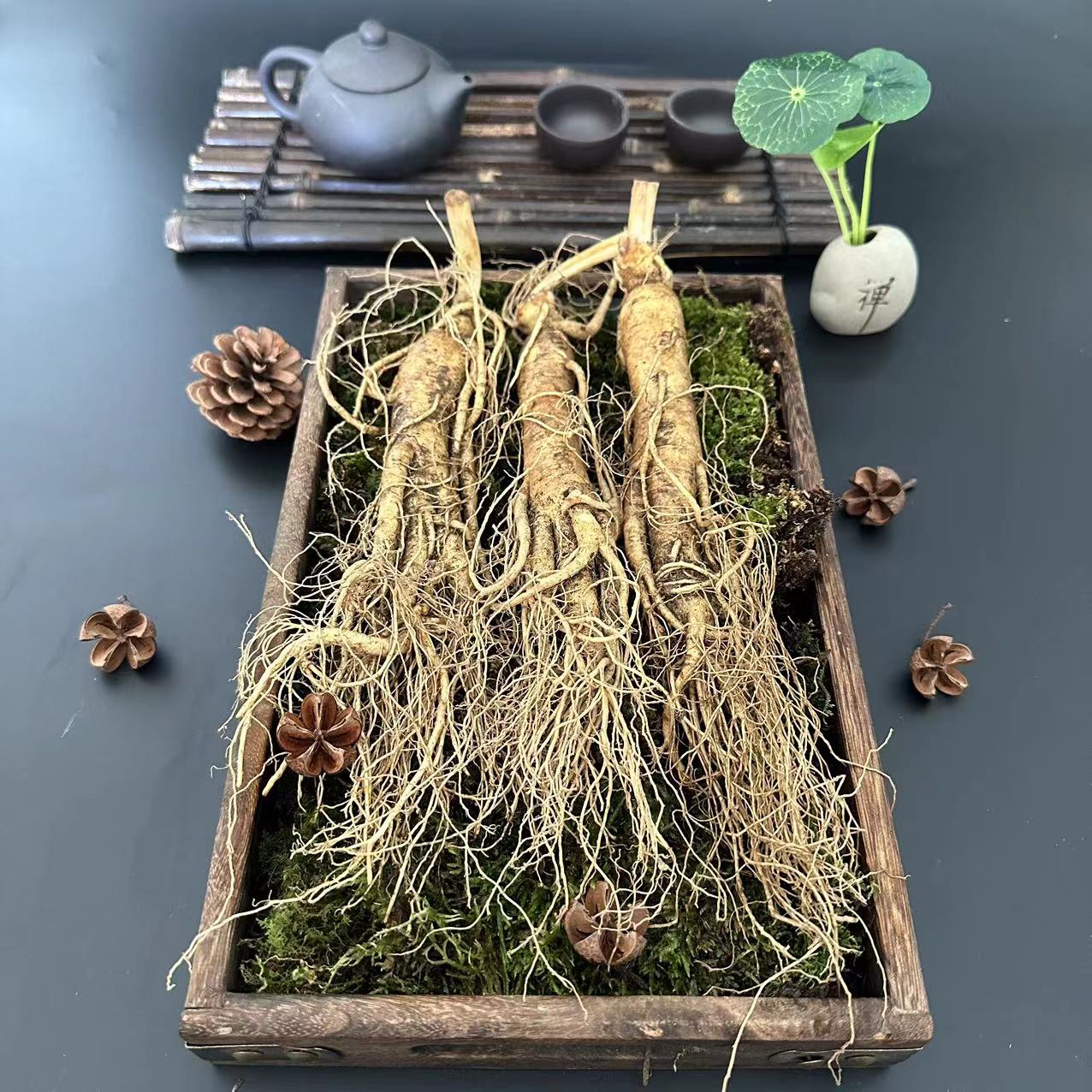 长白山新鲜人参  单支50克左右现挖带土鲜人参滋补