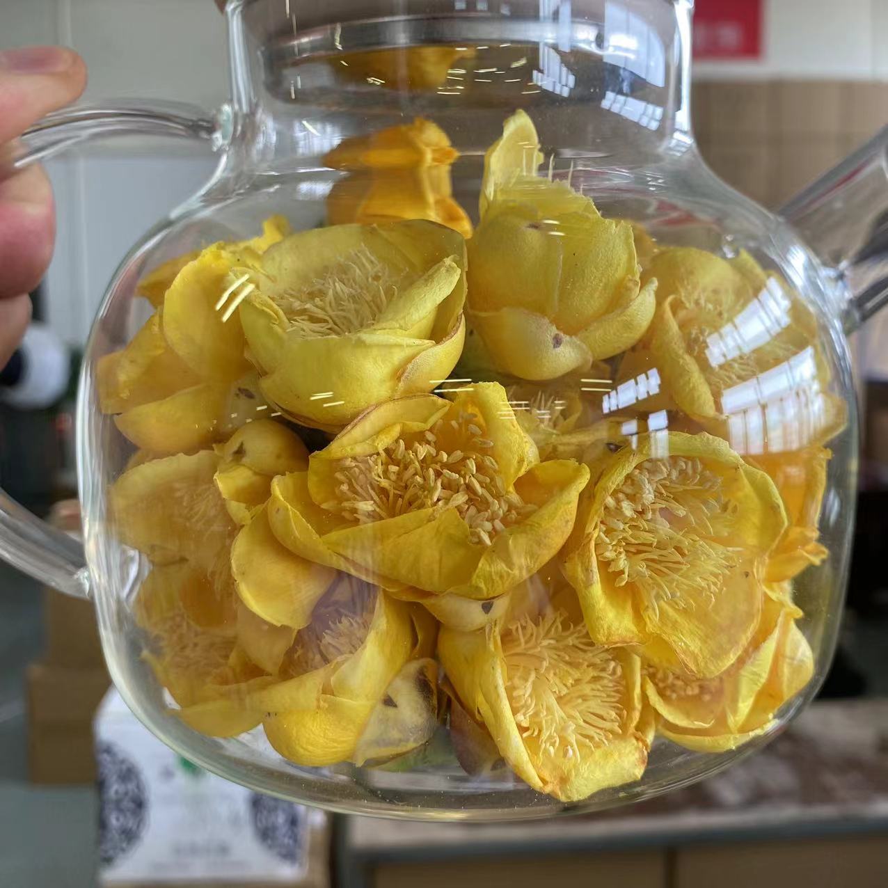  【杨八妹推荐】金茶花 夏日百合  绿沟山货