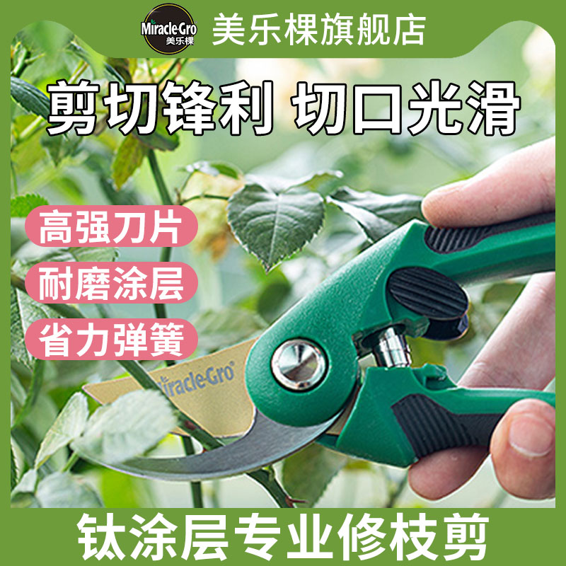 美乐棵专业修枝剪刀钛涂层不锈钢园艺盆景家用修花树枝花艺剪工具