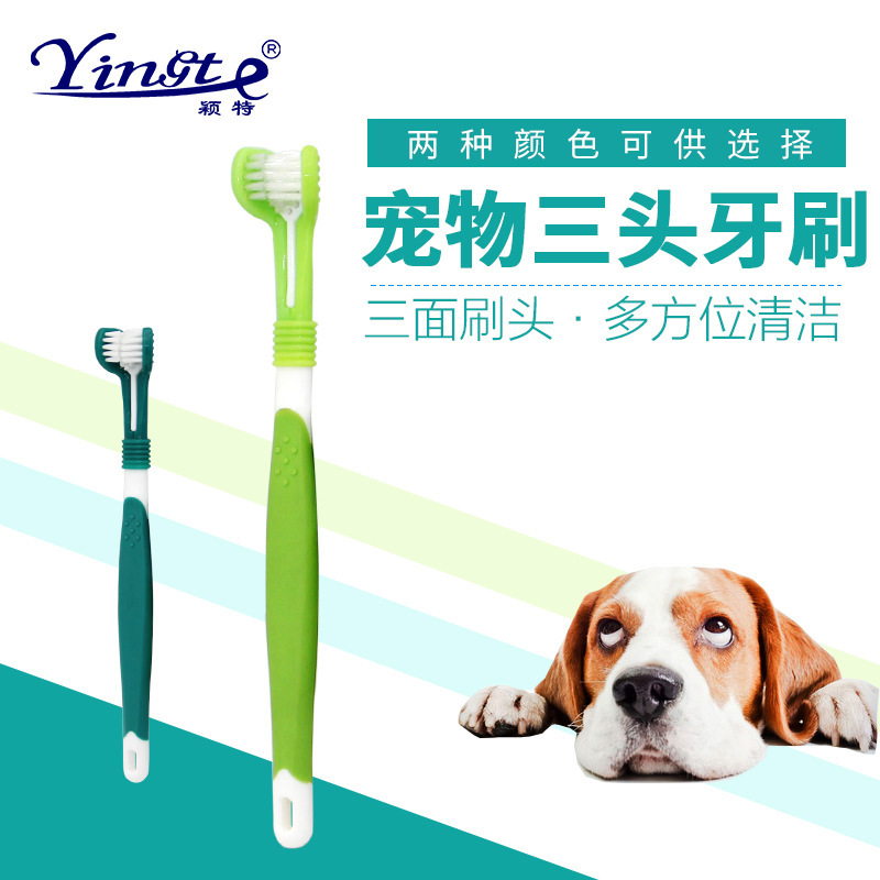 宠物用品宠物牙刷狗狗三头牙刷 宠物口腔清洁 大型犬用牙刷